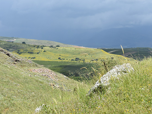 Upper Galilee view