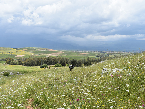 Upper Galilee view