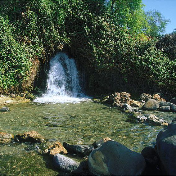 Waterfall in Ein Eyov